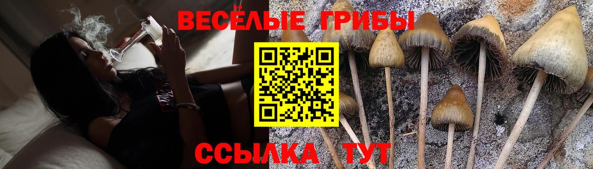 Псилоцибиновые грибы ЛСД  Вход с VPN  Богородицк 