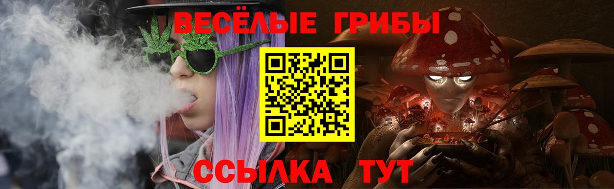Галлюциногенные грибы мицелий Богородицк